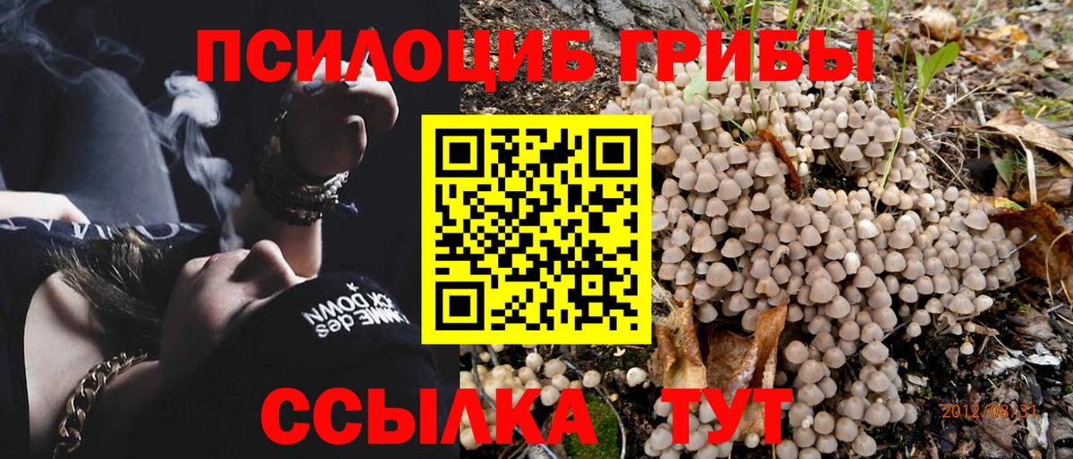 Ижевск  Галлюциногенные грибы GOLDEN TEACHER  Галлюциногенные грибы прущие грибы  Вход с VPN 