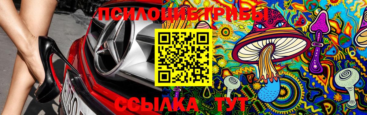 Псилоцибиновые грибы MAGIC MUSHROOMS Ижевск